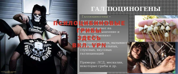 спиды Абдулино