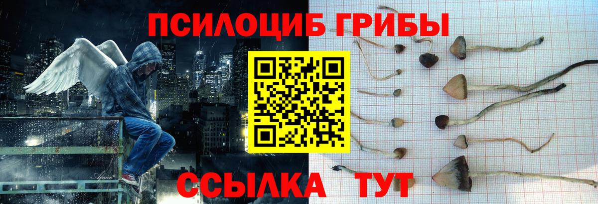Псилоцибиновые грибы Cubensis Чита