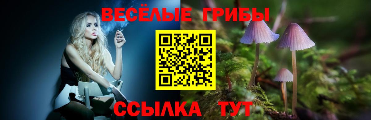 Галлюциногенные грибы Psilocybe  Вход с VPN  Чита 